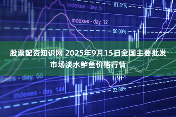 股票配资知识网 2025年9月15日全国主要批发市场淡水鲈鱼价格行情