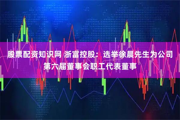 股票配资知识网 浙富控股：选举徐晨先生为公司第六届董事会职工代表董事