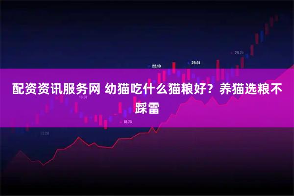 配资资讯服务网 幼猫吃什么猫粮好？养猫选粮不踩雷