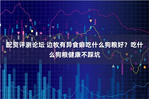 配资评测论坛 边牧有异食癖吃什么狗粮好？吃什么狗粮健康不踩坑